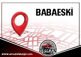 Vidanjör Babeski