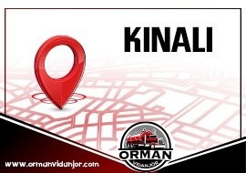 Vidanjör Kınalı