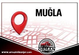 Vidanjör Muğla